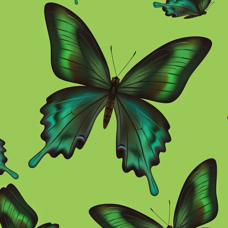 Фон бабочки