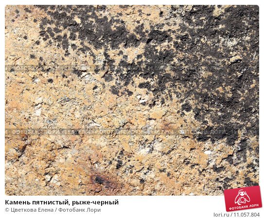 пятнистый камень