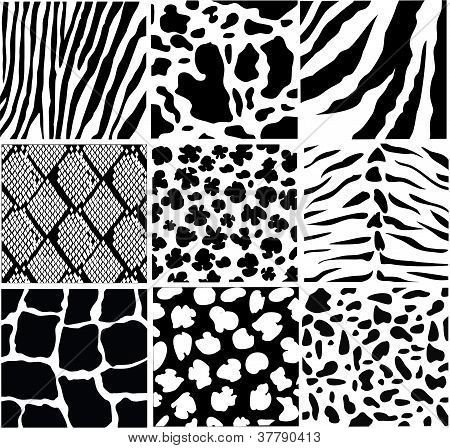 Фактура Графика