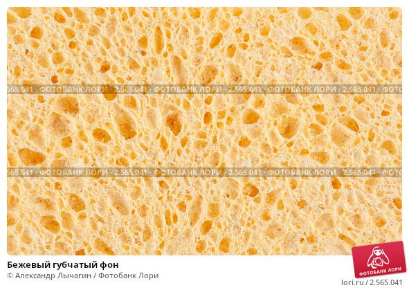 Текстура губки