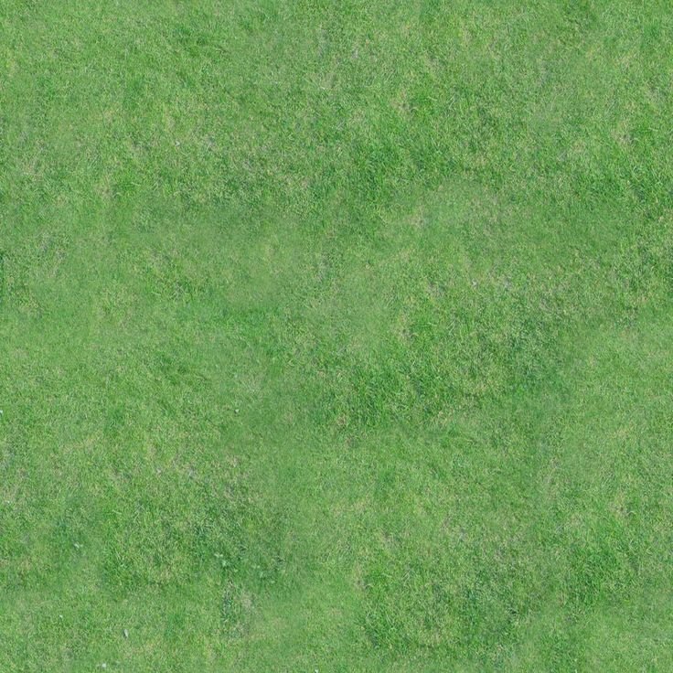 Текстура трава архикад