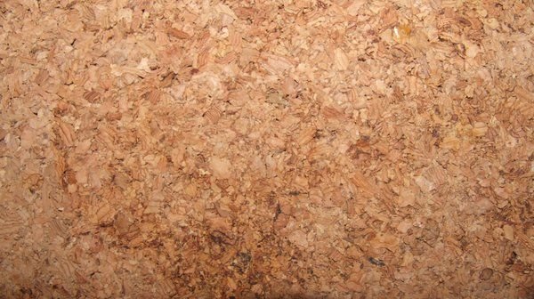 Пробковое дерево фактура