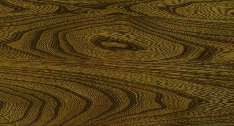 Вяз карагач древесина