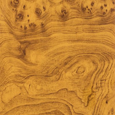 Клен текстура древесины