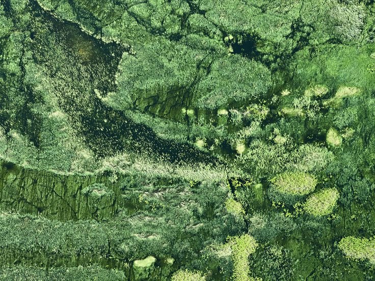 Ландшафтные текстуры