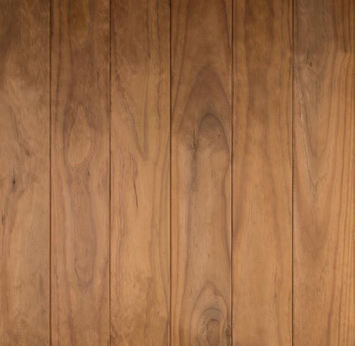 Терморадиата новозеландская