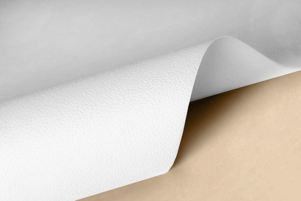 Полотно натяжного потолка MSD Classic