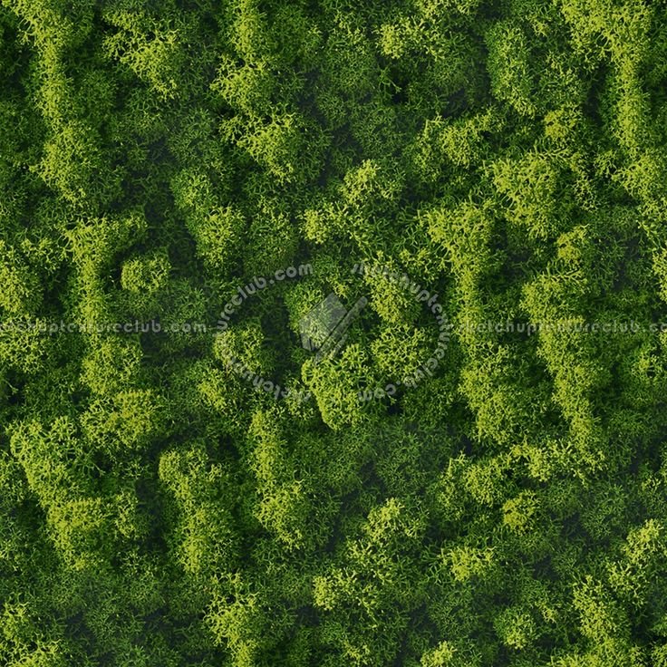 Газон текстура