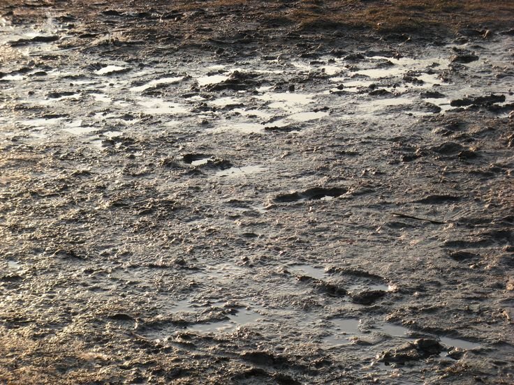 Текстура грязи