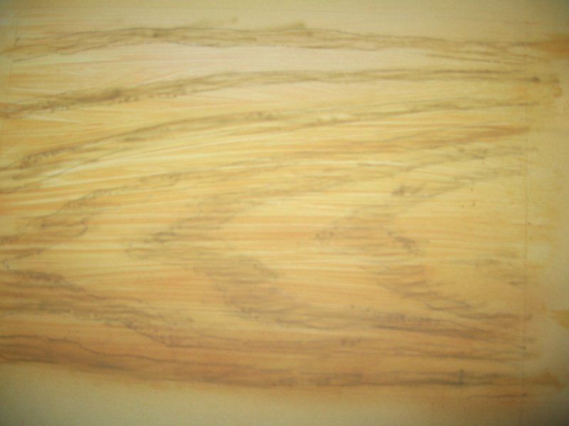 Крона дерева аэрографом