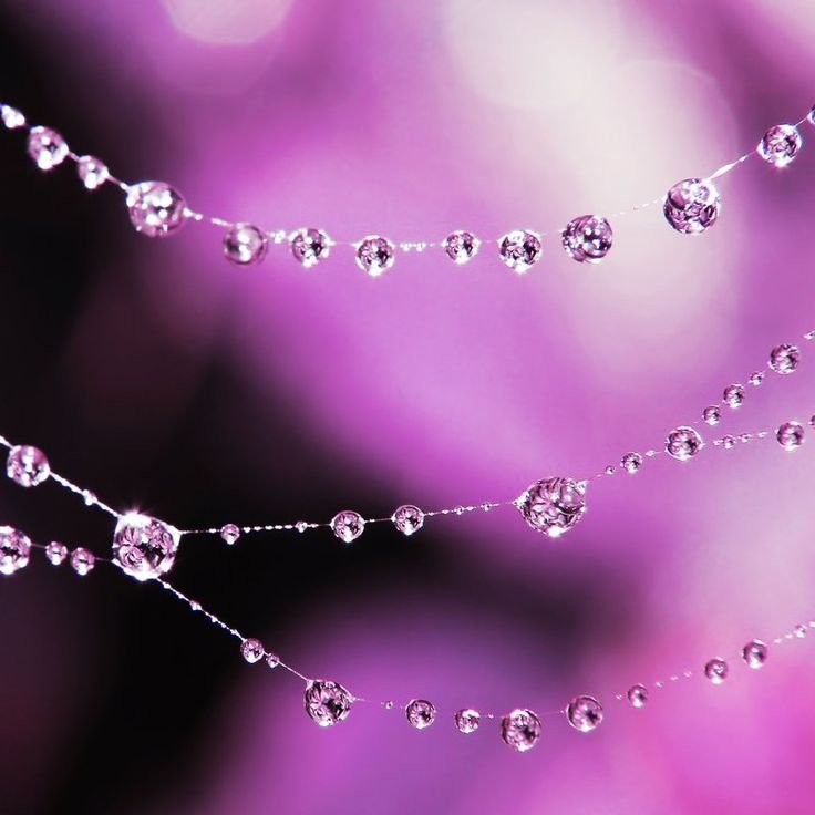 Красивые бусы