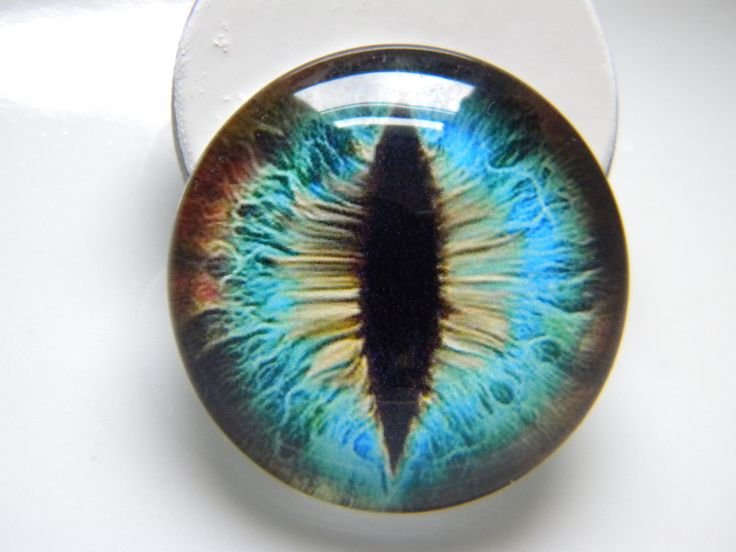 Радужка кошачьего глаза