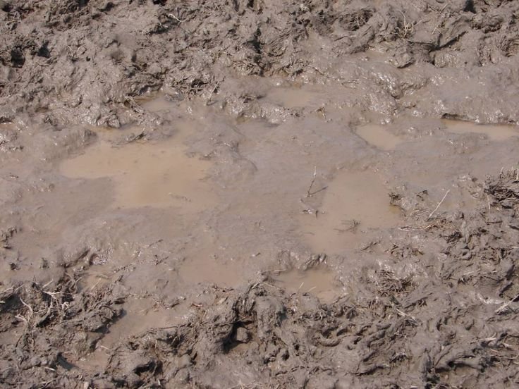 Грязная лужа