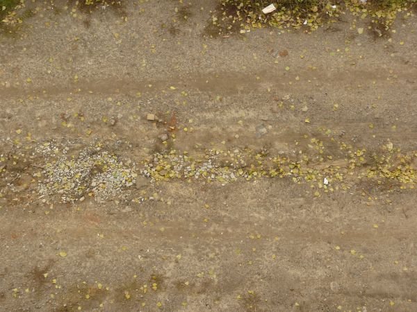 Грунтовая дорога текстура