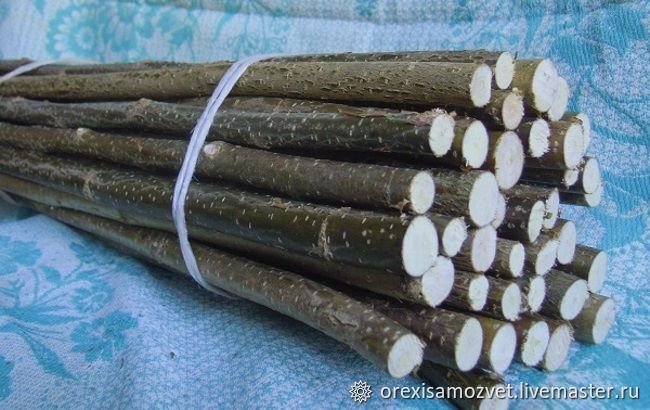 Палки из орешника