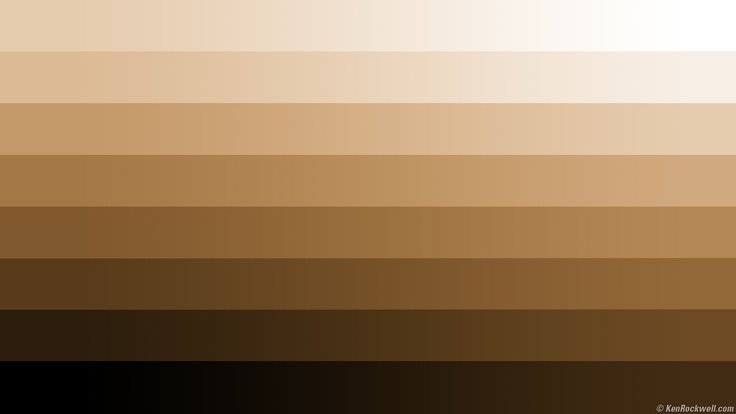 Кофейный цвет