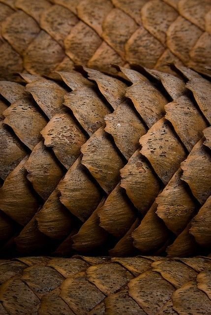 Природные фактуры