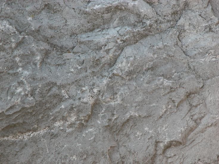 Фузулиновый известняк