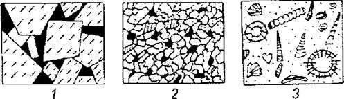 Биоморфная структура горной породы