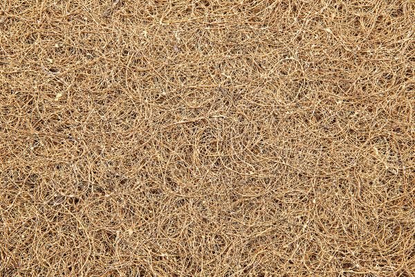 Солома текстура