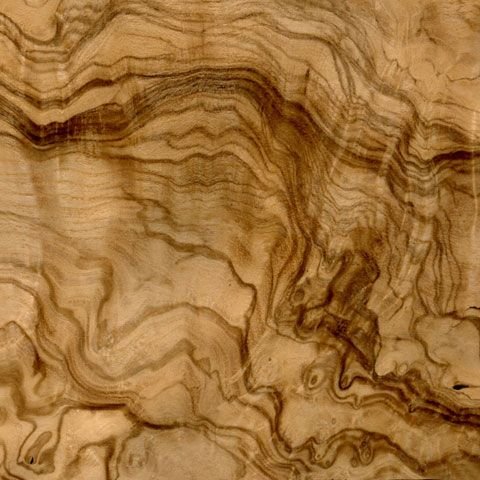 Корень Мадроны шпон