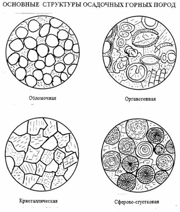Структуры магматических горных пород в шлифах