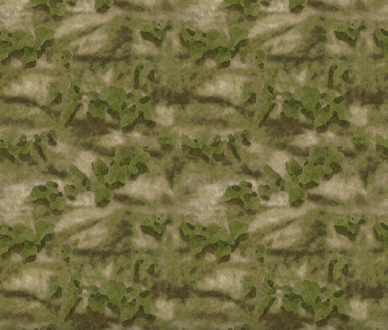 ATACS FG мох камуфляж