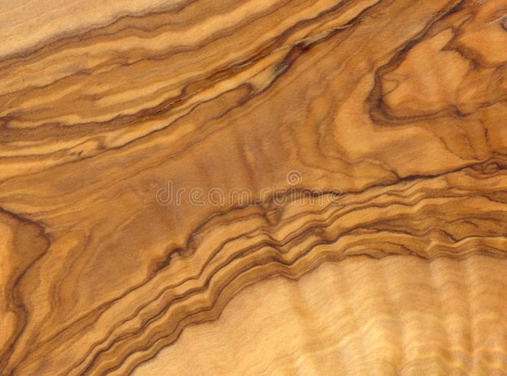 Шпон олива текстура