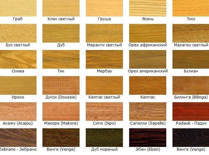 Цвет древесины