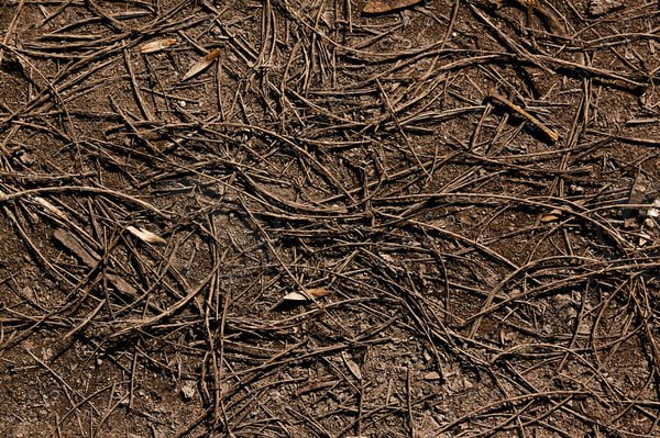 Текстура земли