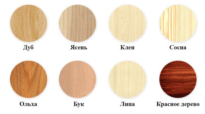Ясень дуб бук лиственница сосна