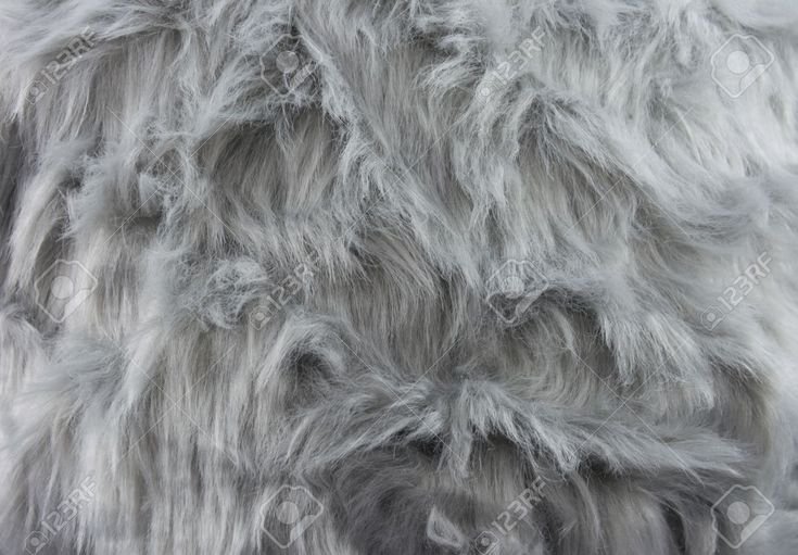 Шерсть волка