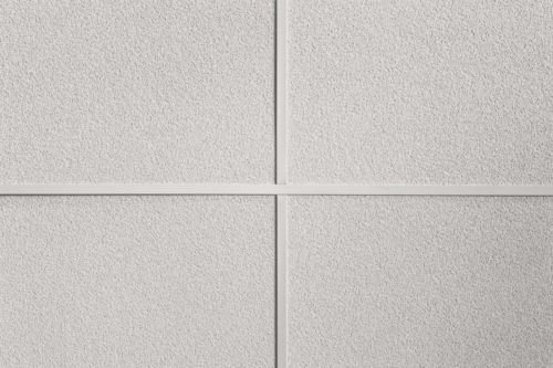 Армстронг Тегулар