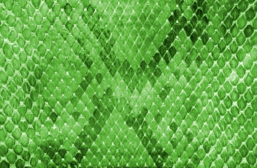 Змеиная кожа зеленая