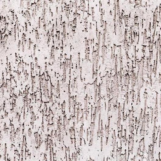 Штукатурка короед текстура бесшовная