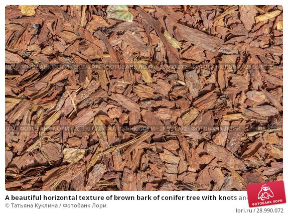 Кора мульча текстура бесшовная