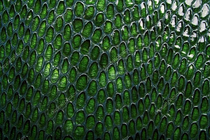 Змеиная кожа зеленая