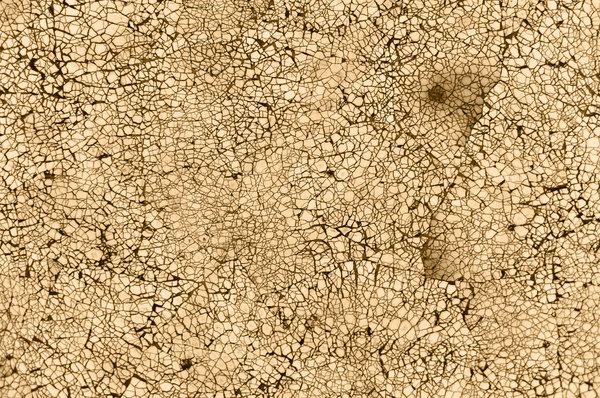 Фактура кракелюр