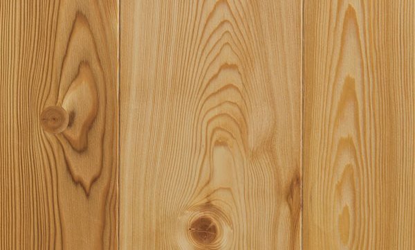 Кедр цвет древесины