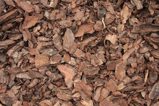 Мульча древесная кора