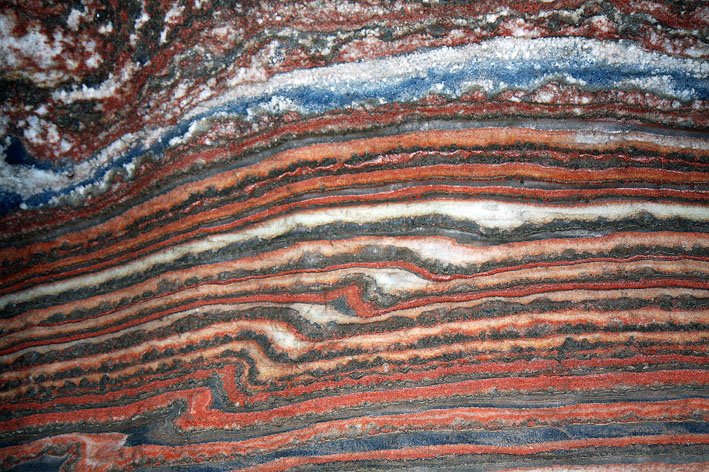 Сильвинит в шлифе