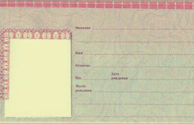 Паспорт шаблон