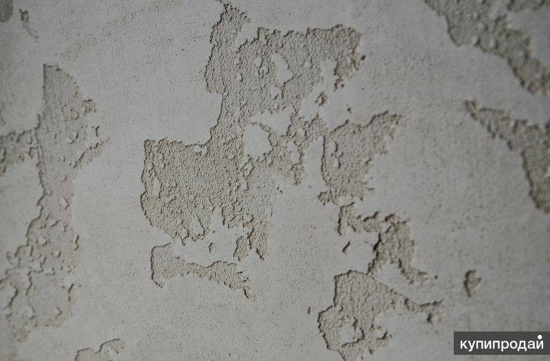 Фактурная штукатурка ВГТ карта мира