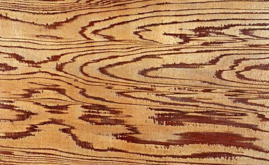 Текстура древесины
