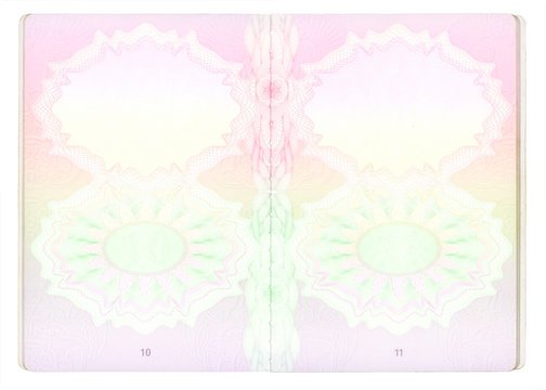 Пустая страница паспорта