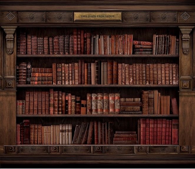 Книжный шкаф Гарри Поттер