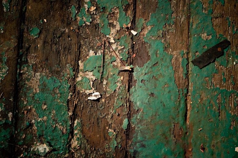 Гнилое дерево текстура