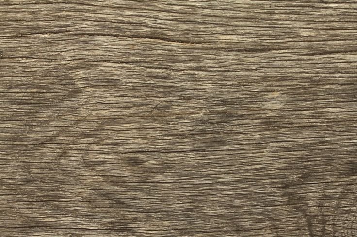 Текстура древесной коры
