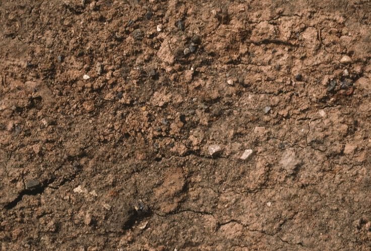 Текстура земли