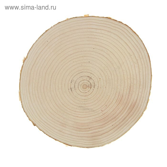 Сибирская лиственница спил